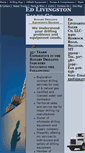 Mobile Screenshot of edlivingston.com